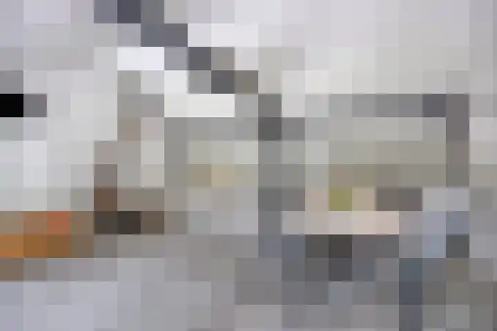 Dellenweg 32 Epe thumbnail 63