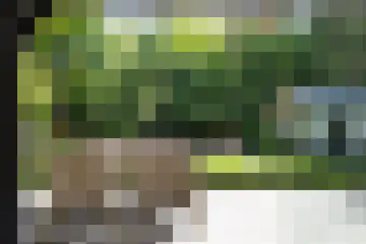 Dellenweg 32 Epe thumbnail 64