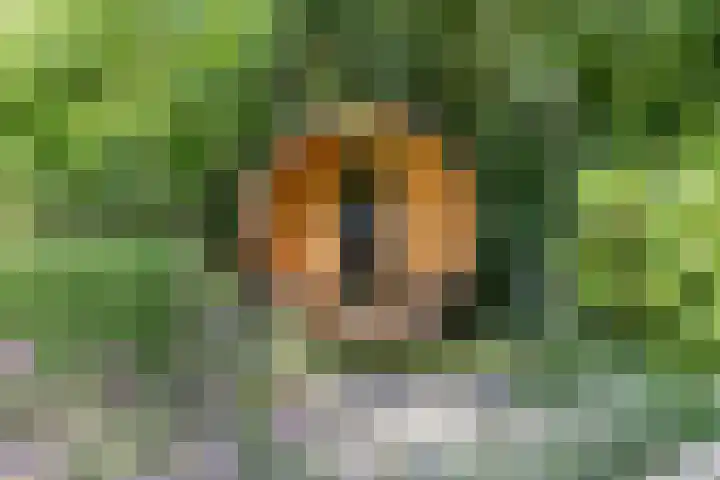 Dellenweg 32 Epe thumbnail 66