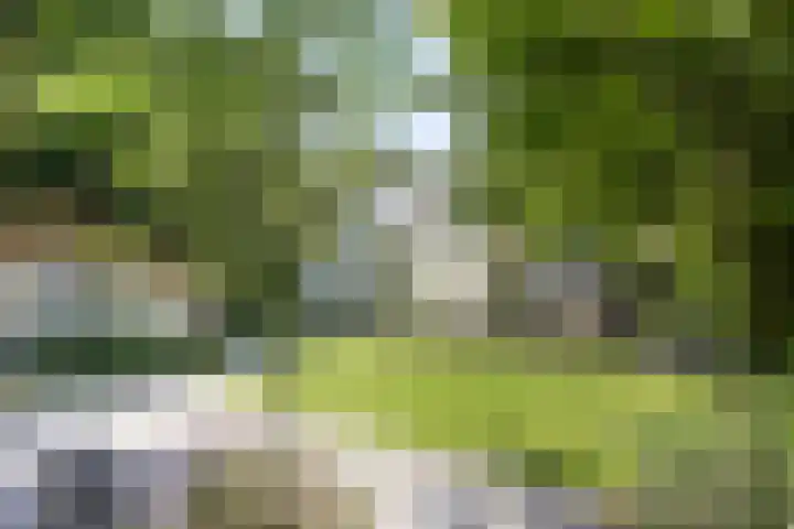 Dellenweg 32 Epe thumbnail 67