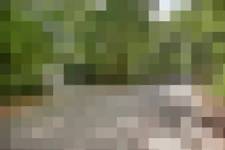 Dellenweg 32 Epe thumbnail 68
