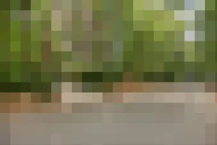 Dellenweg 32 Epe thumbnail 69