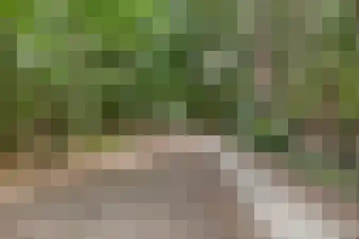 Dellenweg 32 Epe thumbnail 70