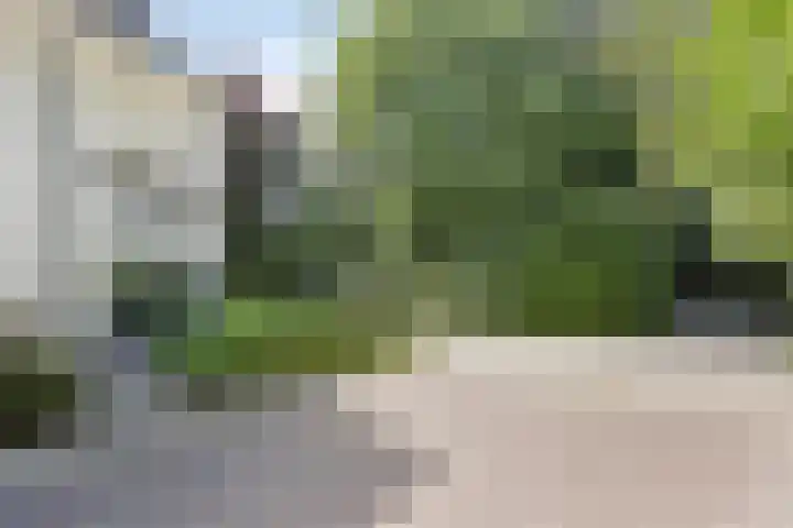 Dellenweg 32 Epe thumbnail 8