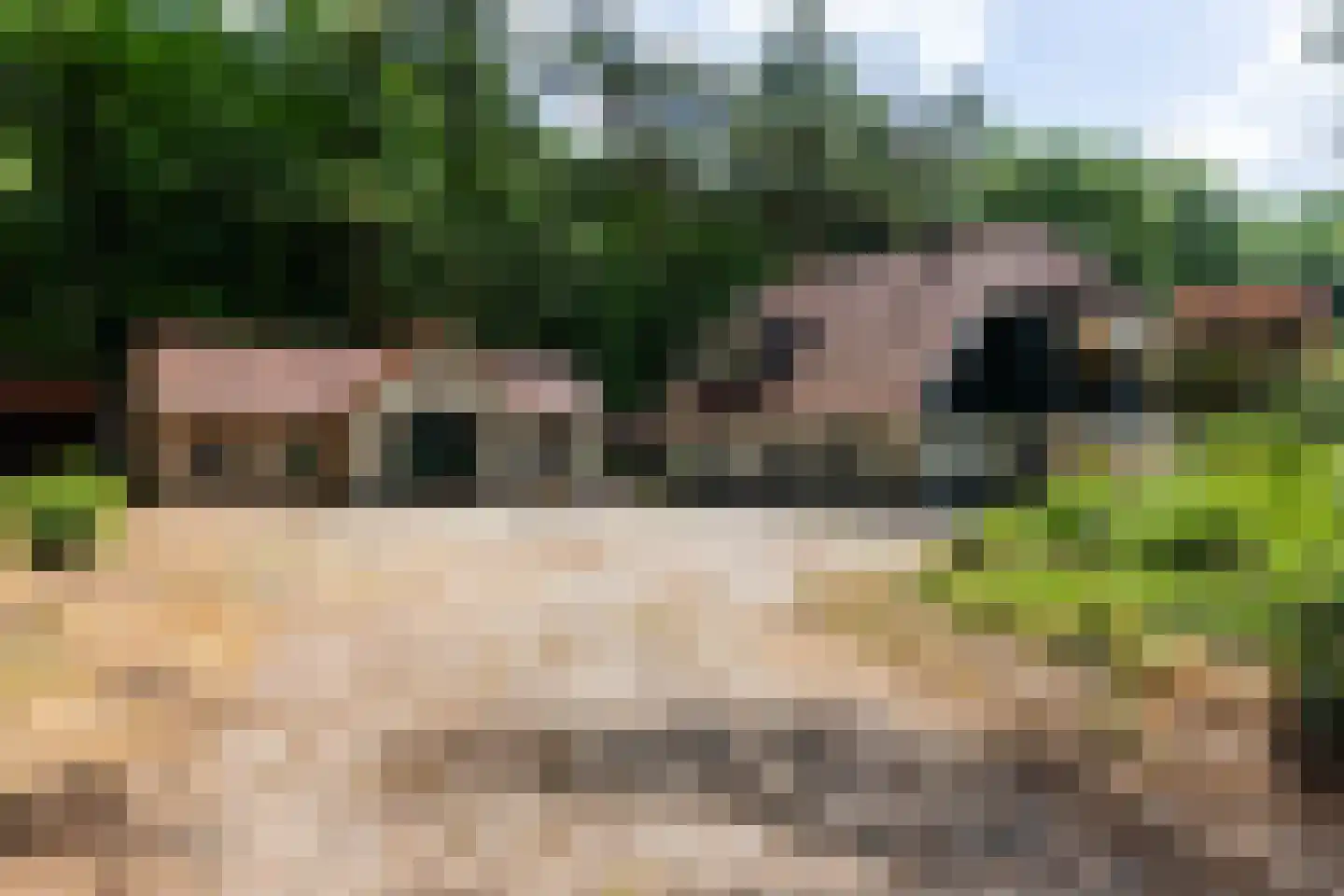 Dellenweg 42 Epe thumbnail 23