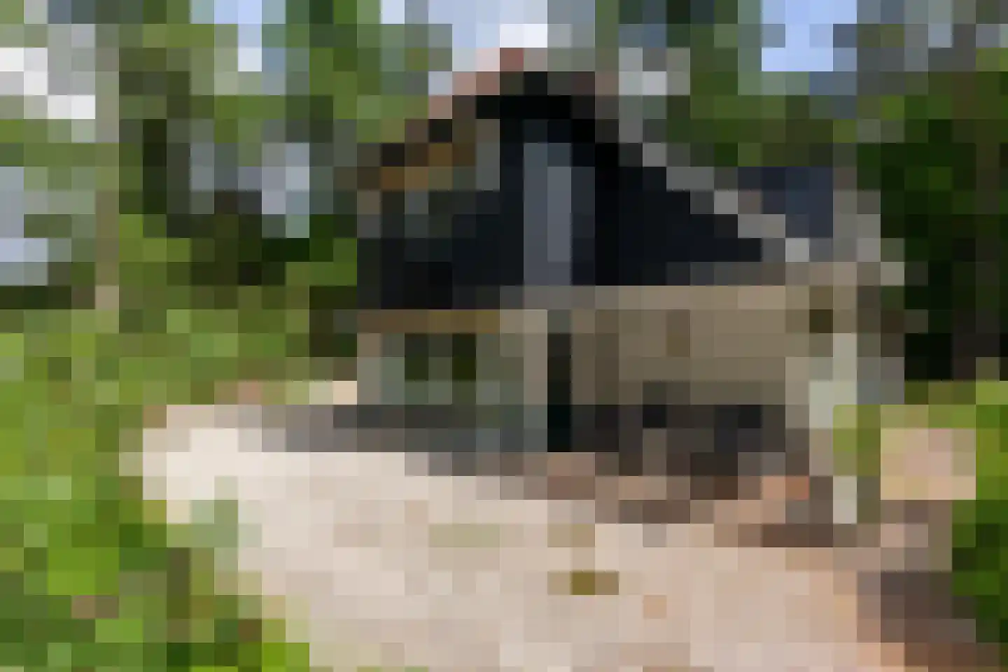 Dellenweg 42 Epe thumbnail 25
