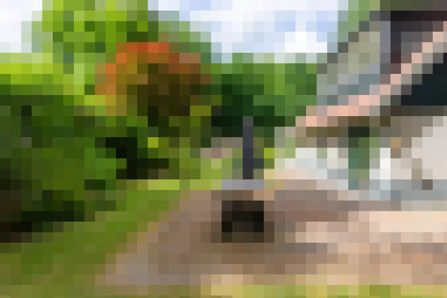 Dellenweg 42 Epe thumbnail 26