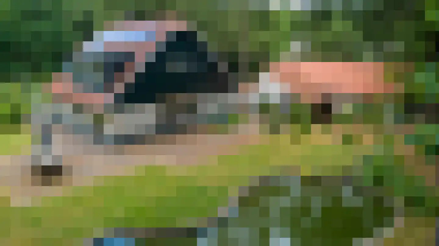 Dellenweg 42 Epe thumbnail 27