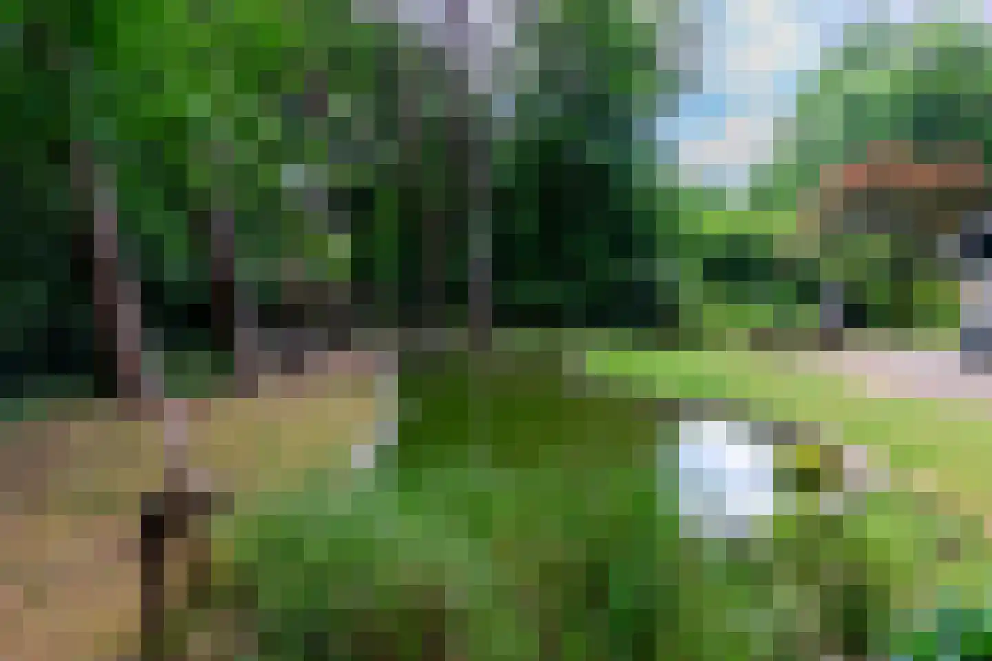 Dellenweg 42 Epe thumbnail 29