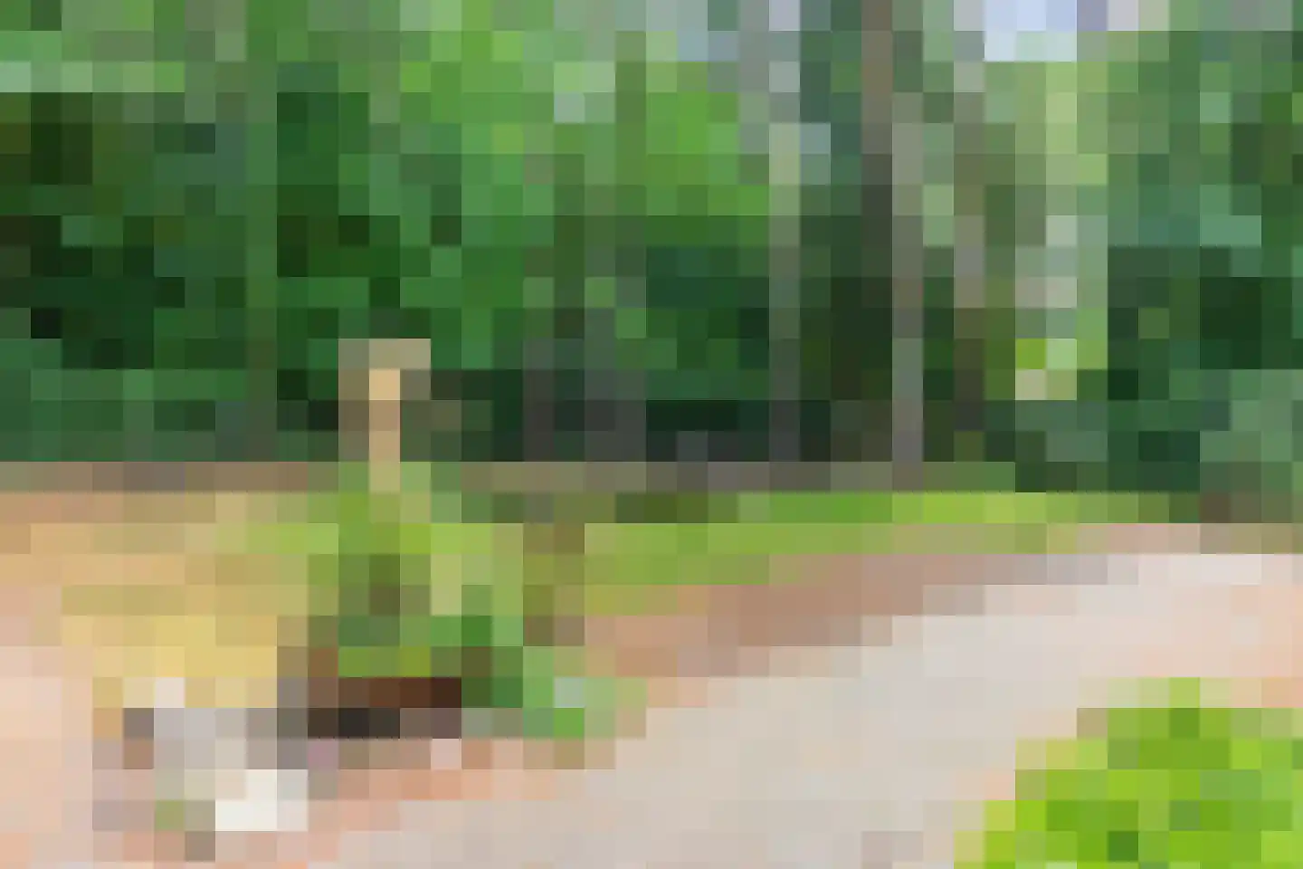 Dellenweg 42 Epe thumbnail 30