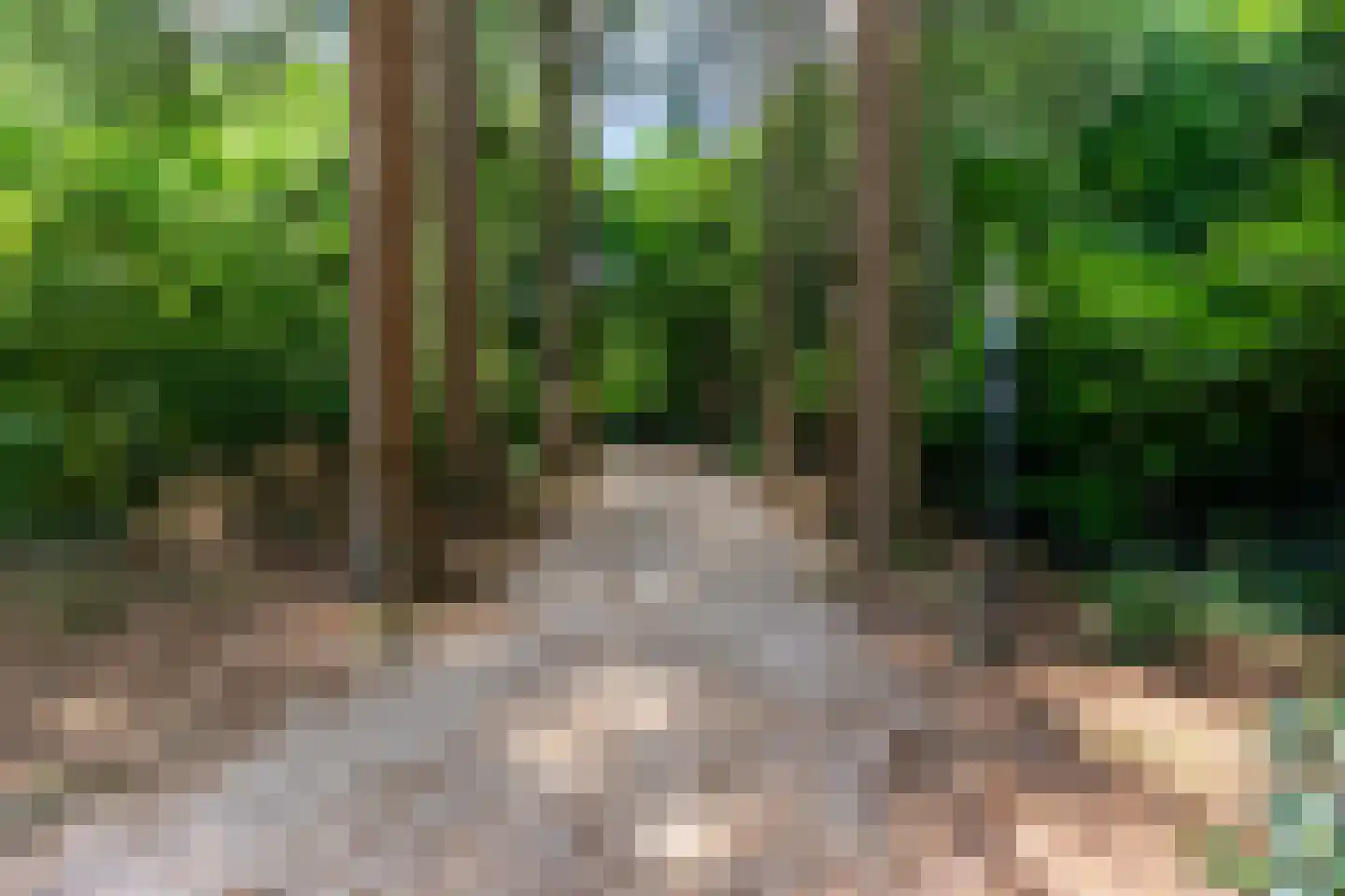 Dellenweg 42 Epe thumbnail 33