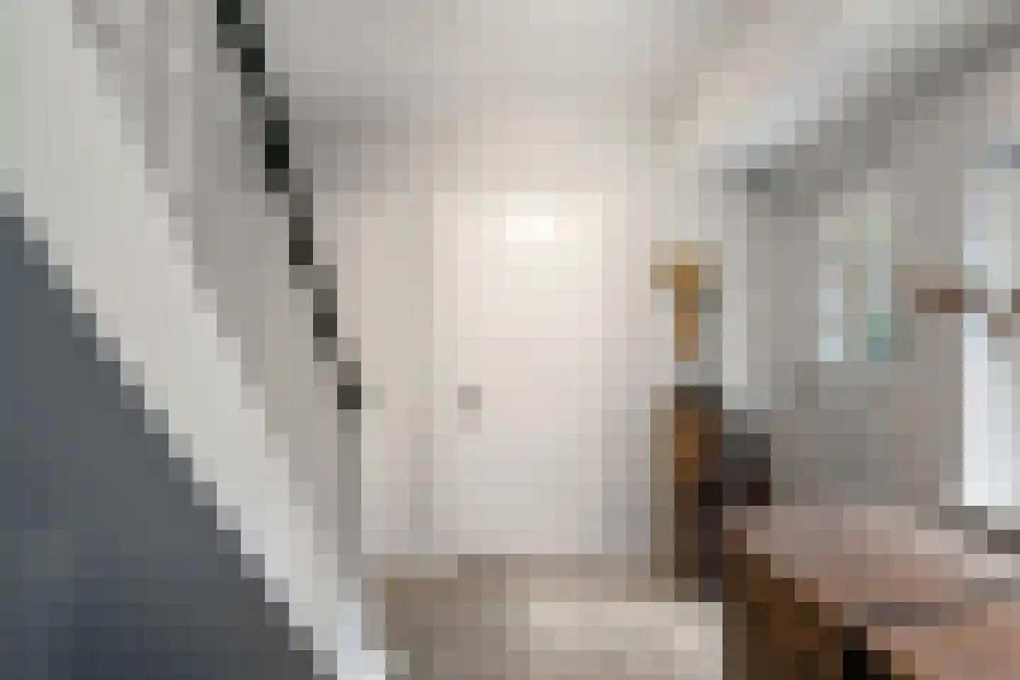 Dellenweg 42 Epe thumbnail 5