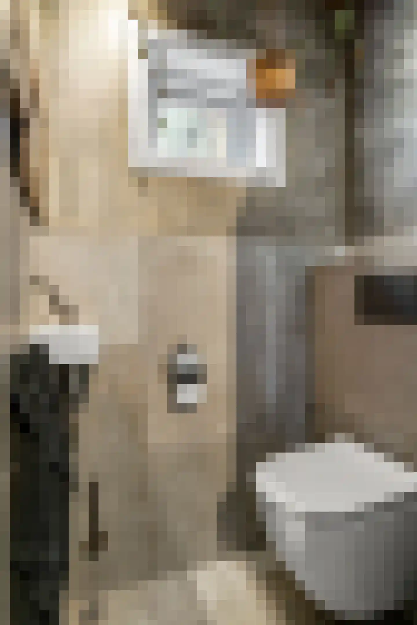 Dellenweg 42 Epe thumbnail 7