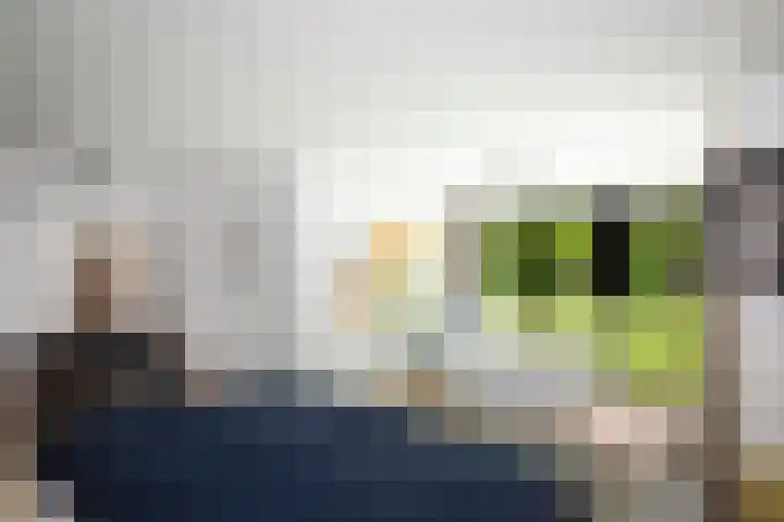 Dellenweg 6 Epe thumbnail 27