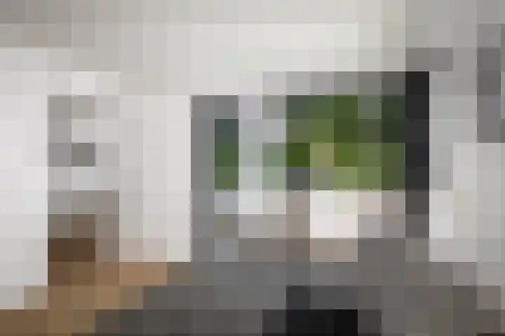 Dellenweg 6 Epe thumbnail 31