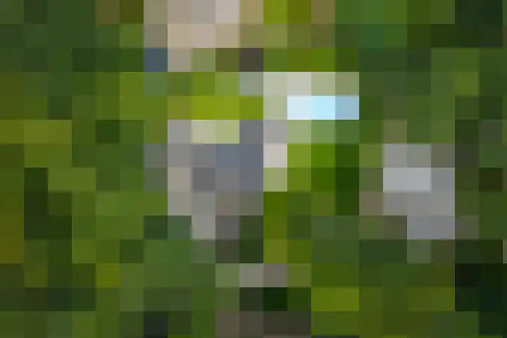 Dellenweg 6 Epe thumbnail 54