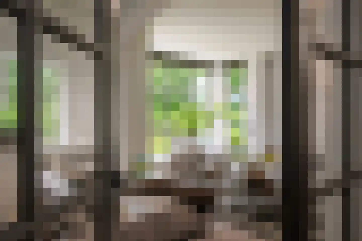 Dellenweg 99 Epe thumbnail 12