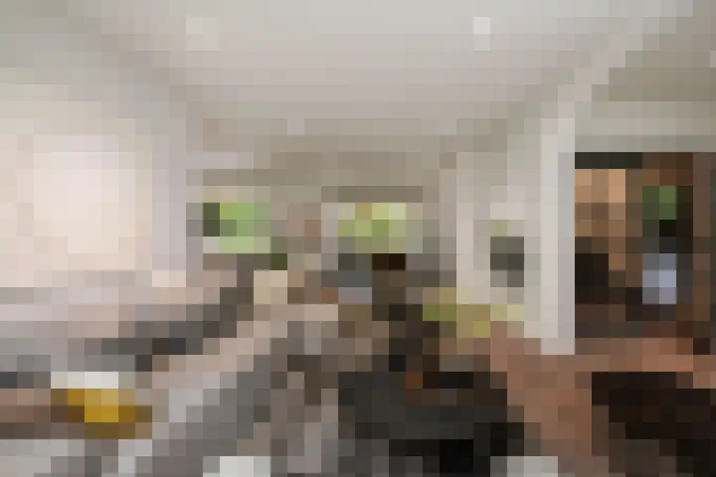 Dellenweg 99 Epe thumbnail 15