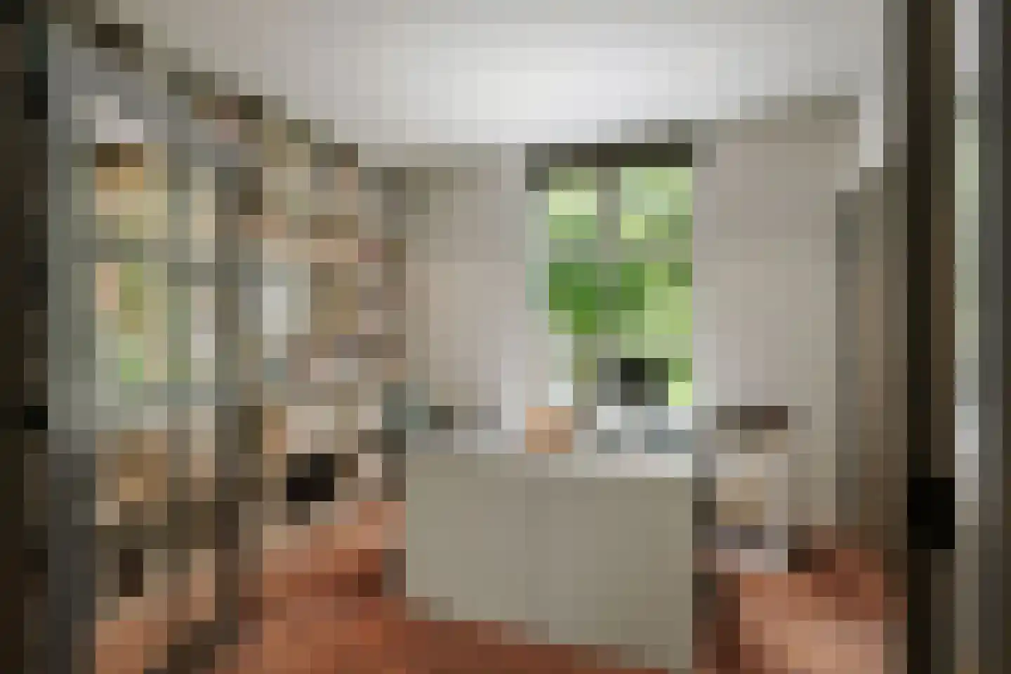 Dellenweg 99 Epe thumbnail 17