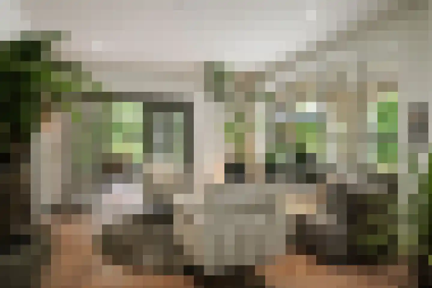 Dellenweg 99 Epe thumbnail 19