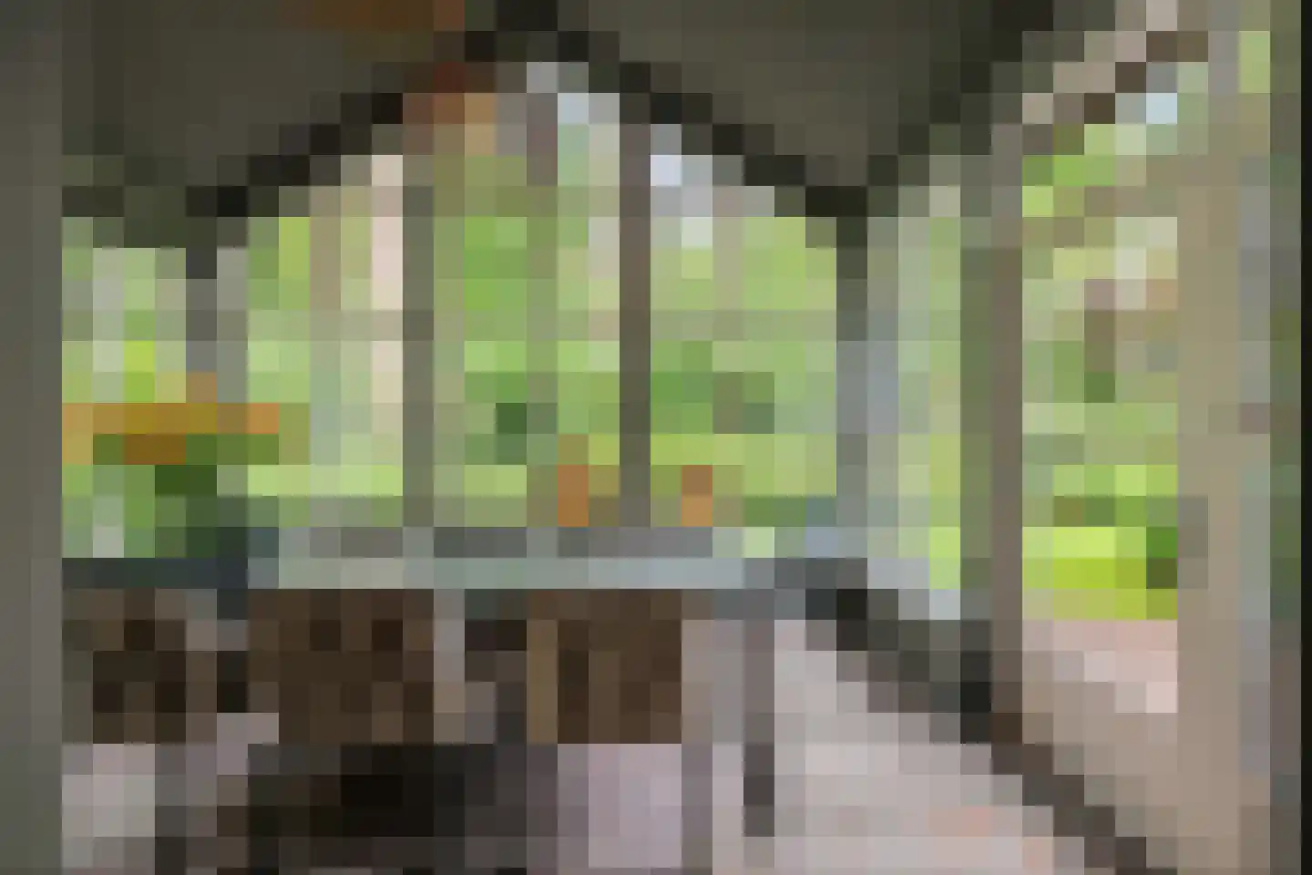 Dellenweg 99 Epe thumbnail 20