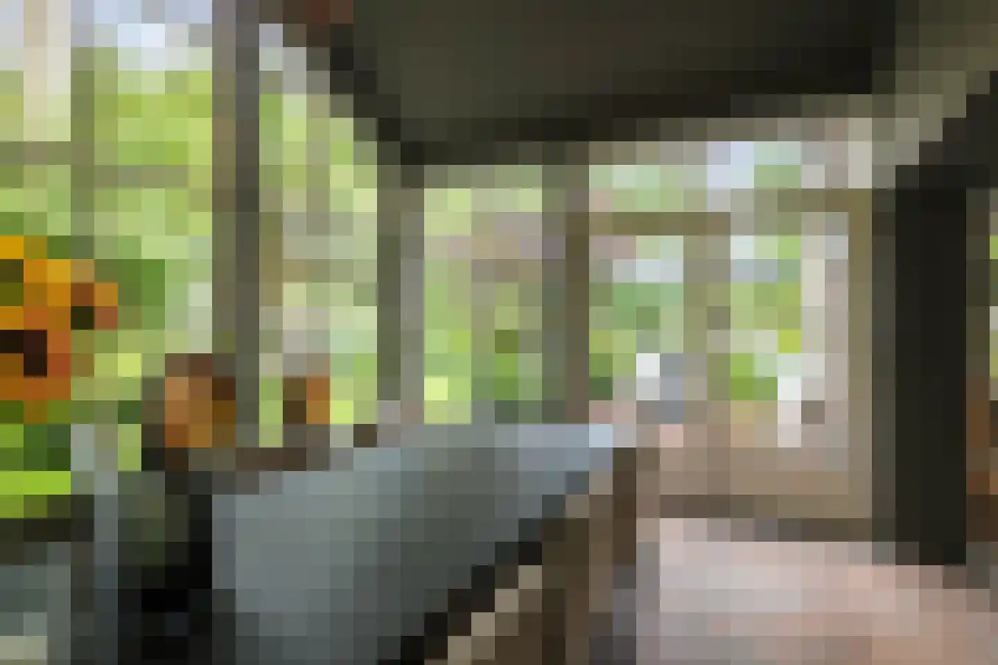 Dellenweg 99 Epe thumbnail 21