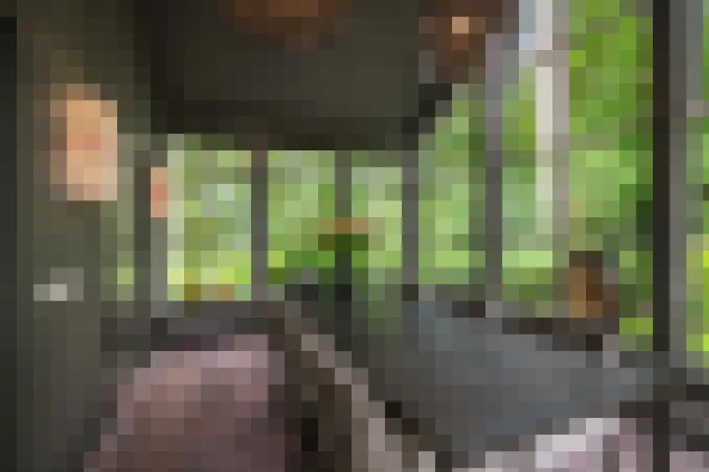 Dellenweg 99 Epe thumbnail 22