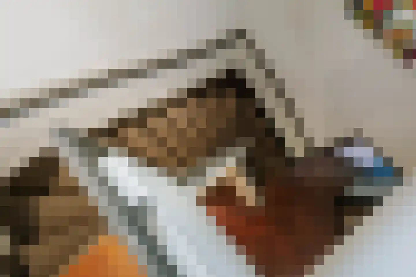 Dellenweg 99 Epe thumbnail 32