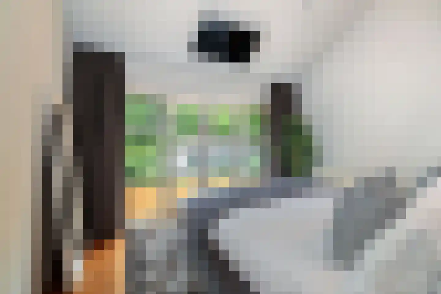Dellenweg 99 Epe thumbnail 34