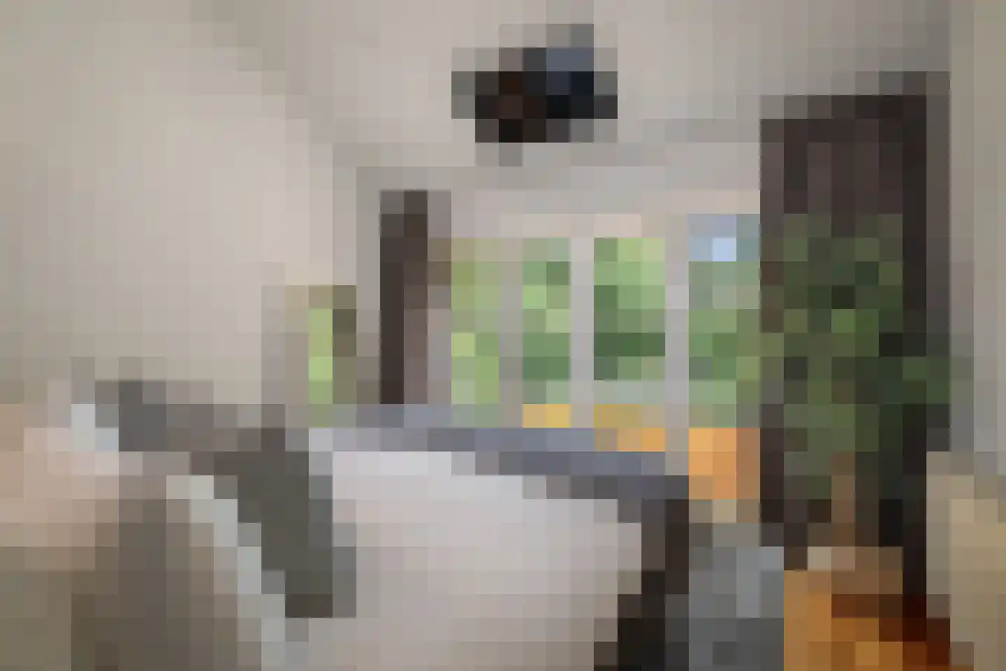 Dellenweg 99 Epe thumbnail 35