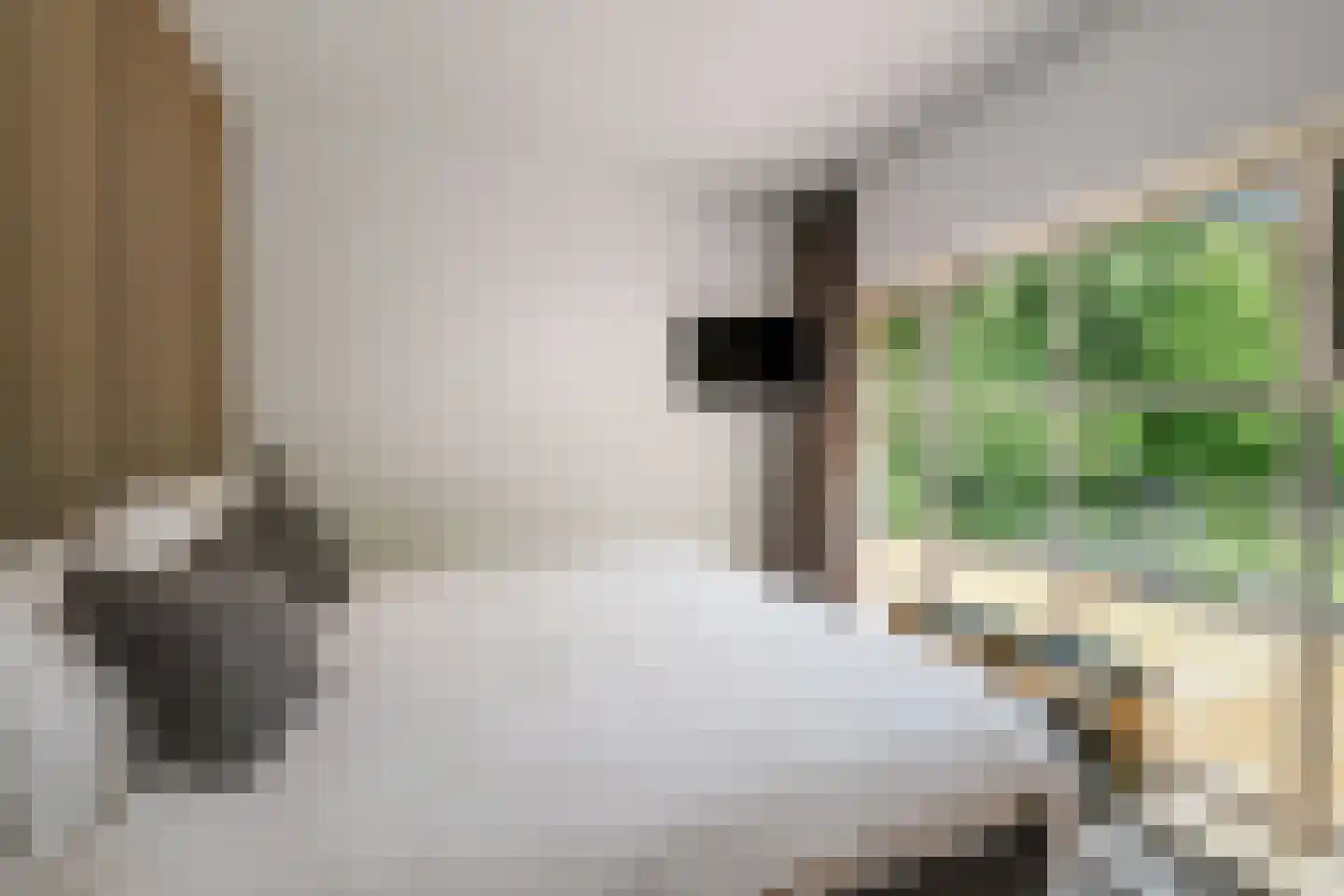 Dellenweg 99 Epe thumbnail 42