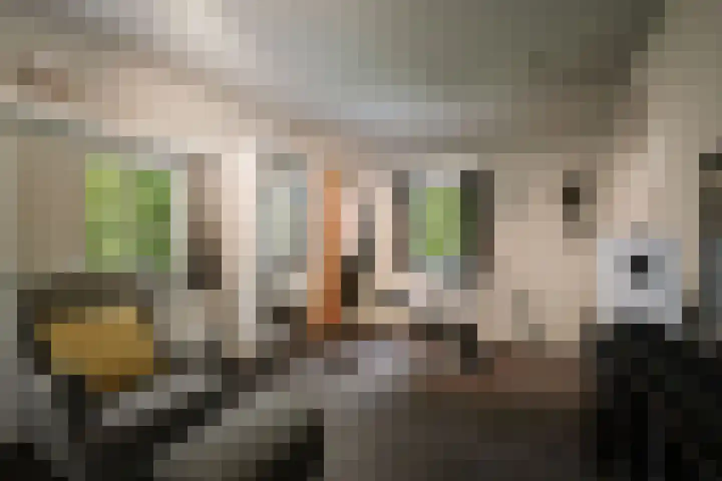 Dellenweg 99 Epe thumbnail 47
