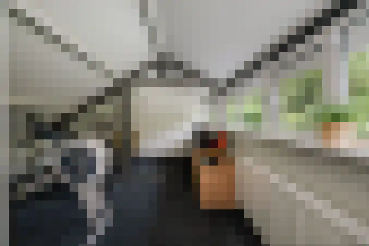 Dellenweg 99 Epe thumbnail 49