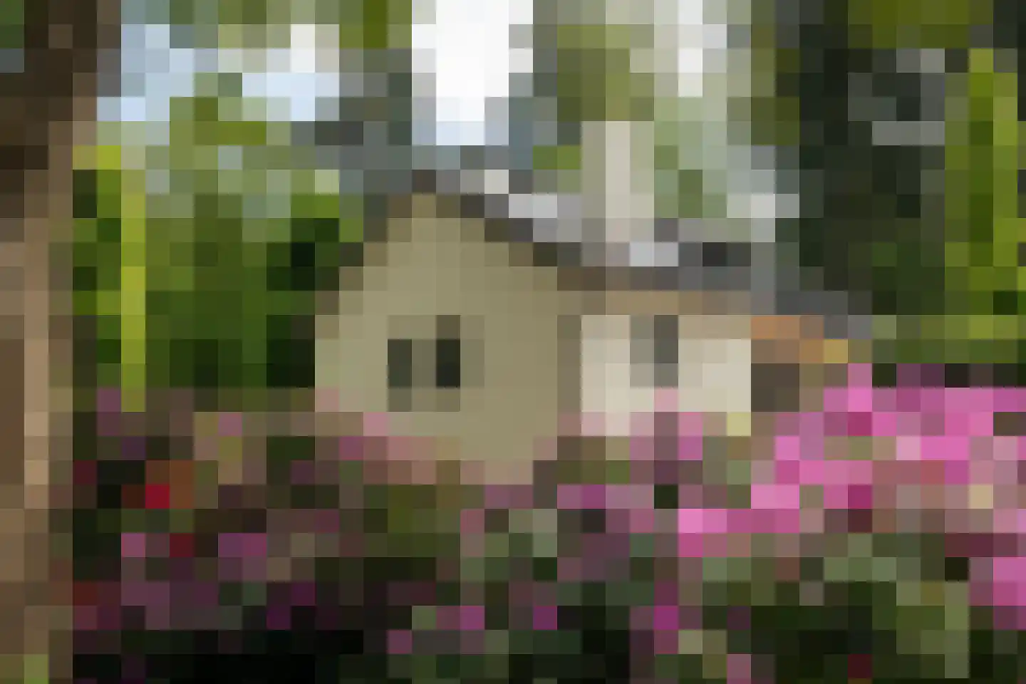 Dellenweg 99 Epe thumbnail 5