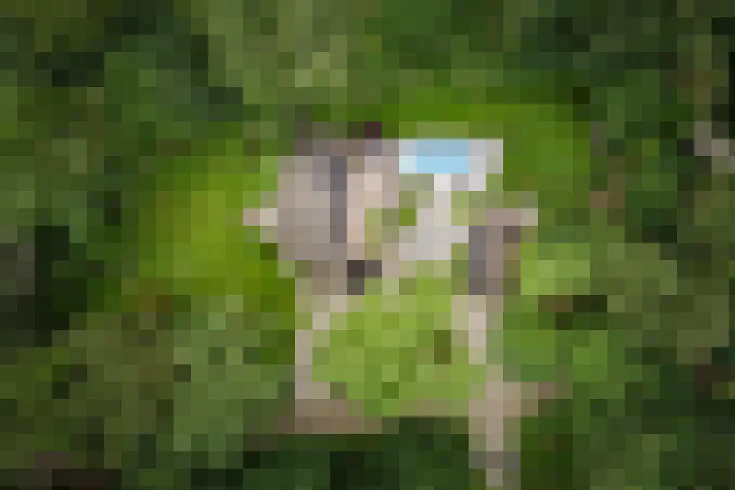 Dellenweg 99 Epe thumbnail 50