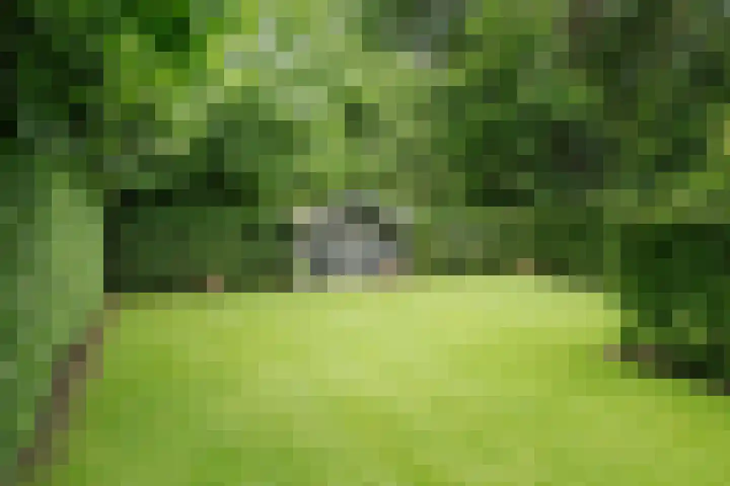 Dellenweg 99 Epe thumbnail 63