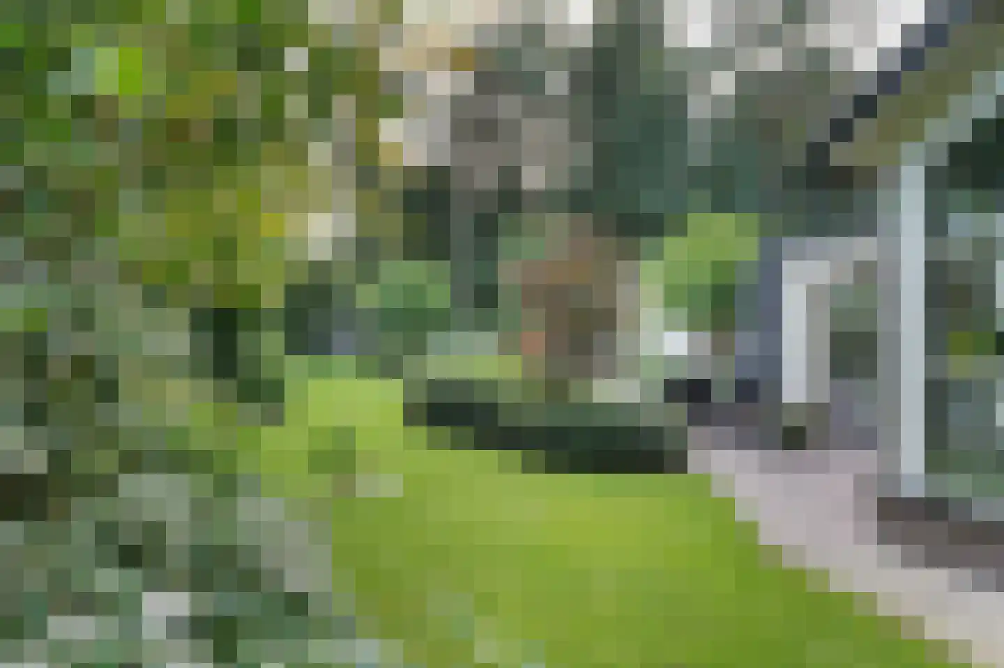Dellenweg 99 Epe thumbnail 64