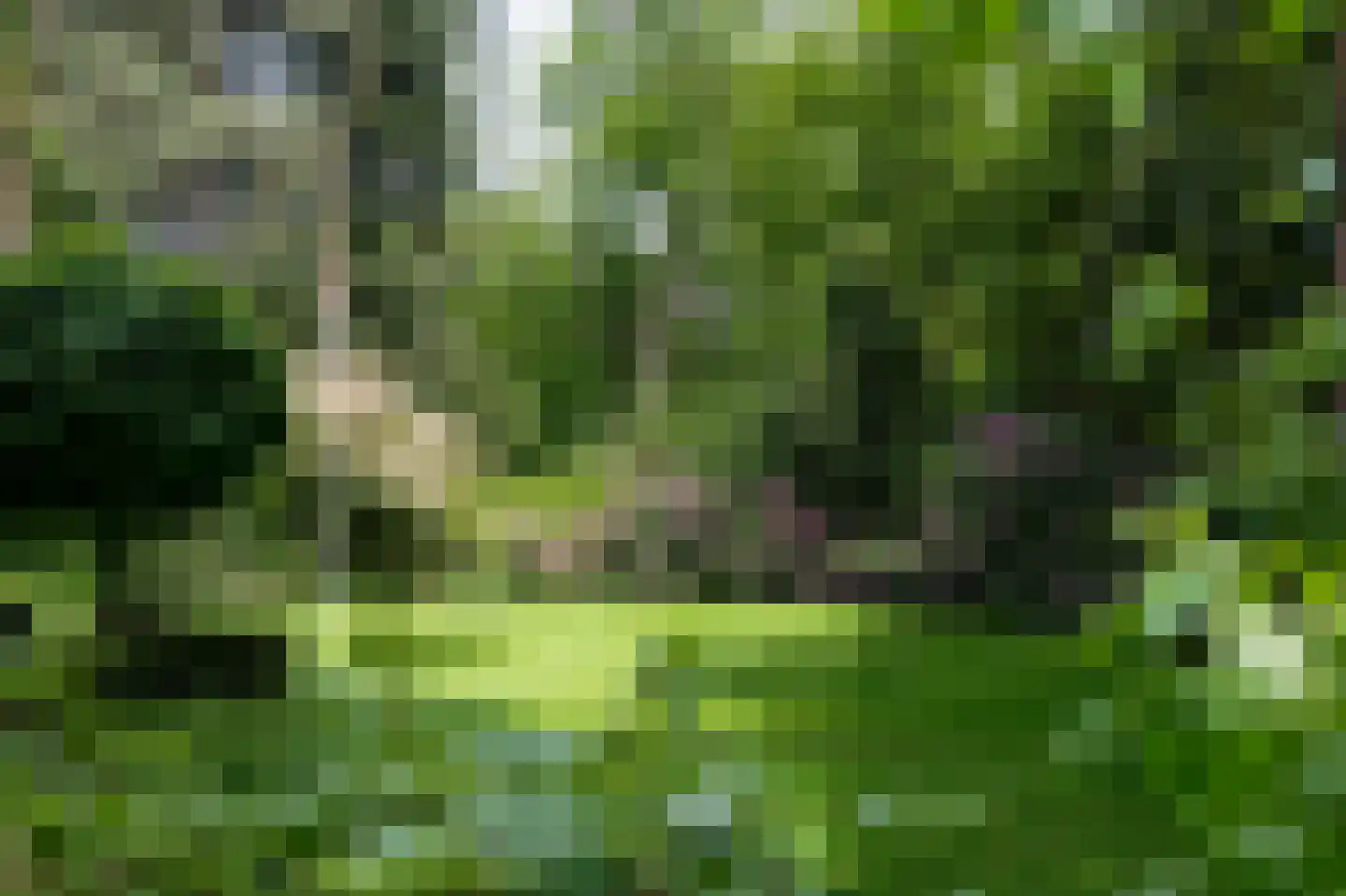 Dellenweg 99 Epe thumbnail 67