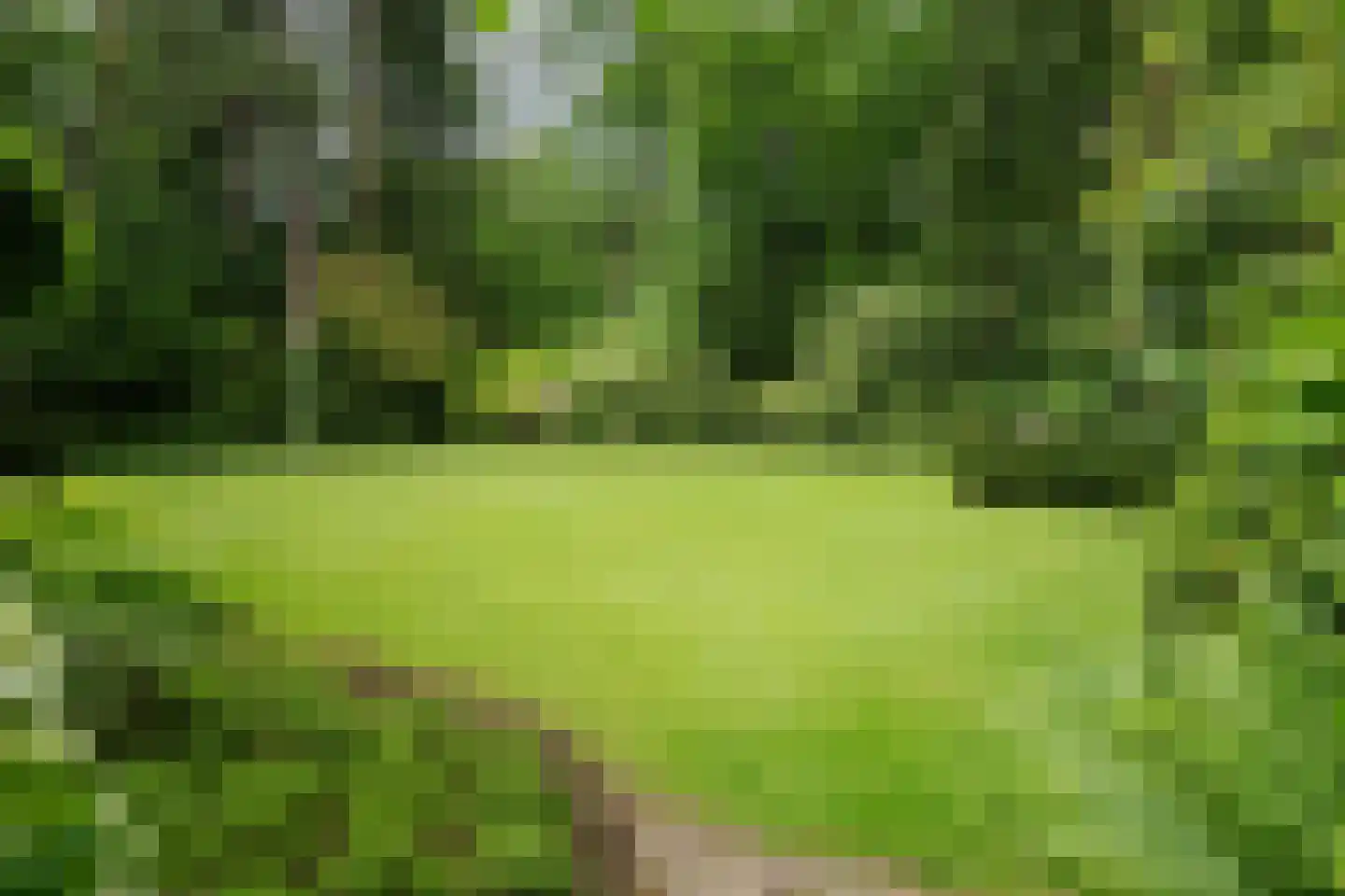 Dellenweg 99 Epe thumbnail 68