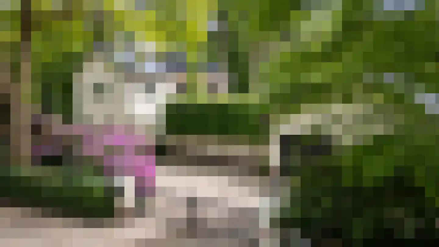 Dellenweg 99 Epe thumbnail 71