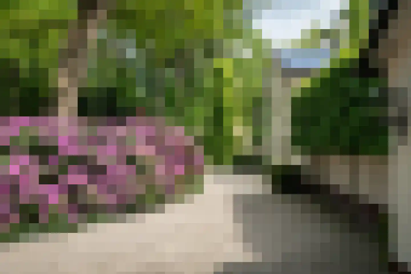 Dellenweg 99 Epe thumbnail 73