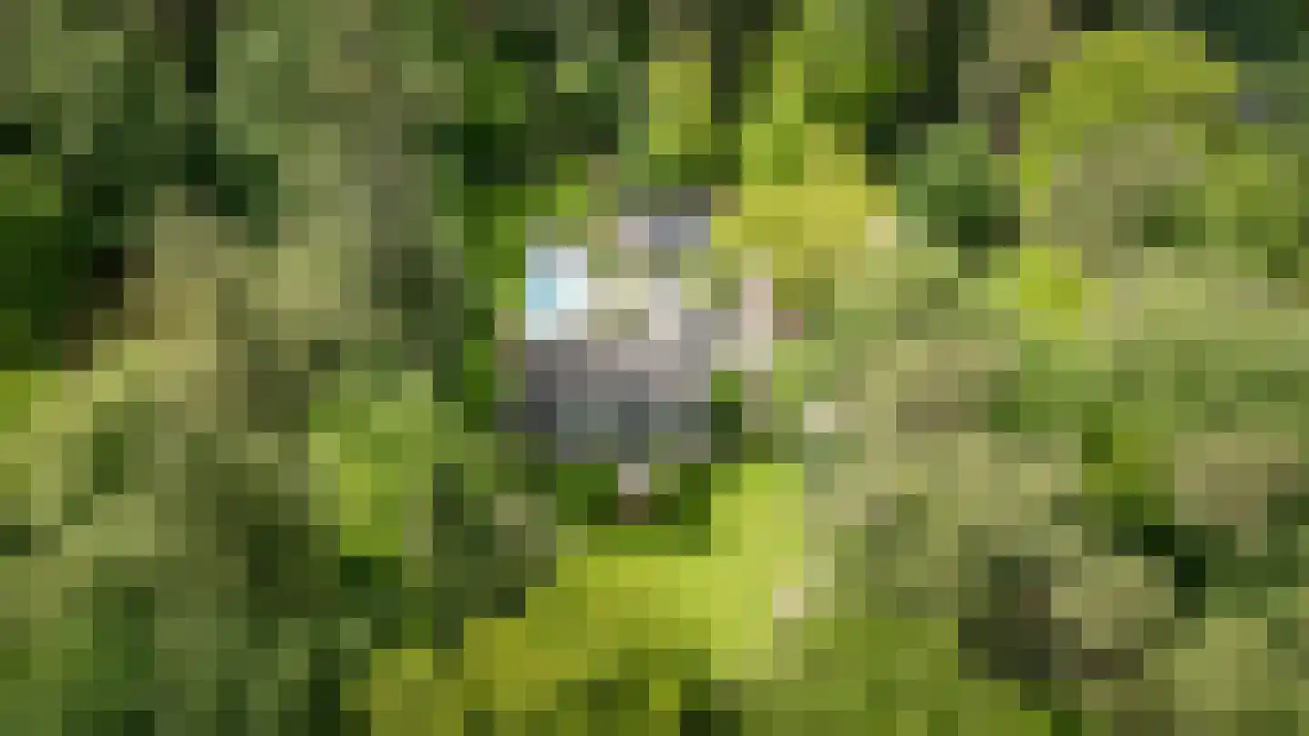 Dellenweg 99 Epe thumbnail 74