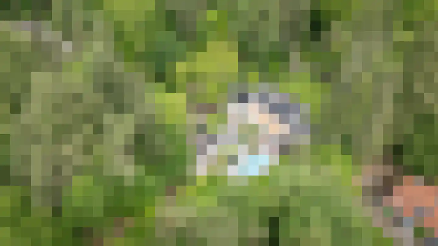 Dellenweg 99 Epe thumbnail 75