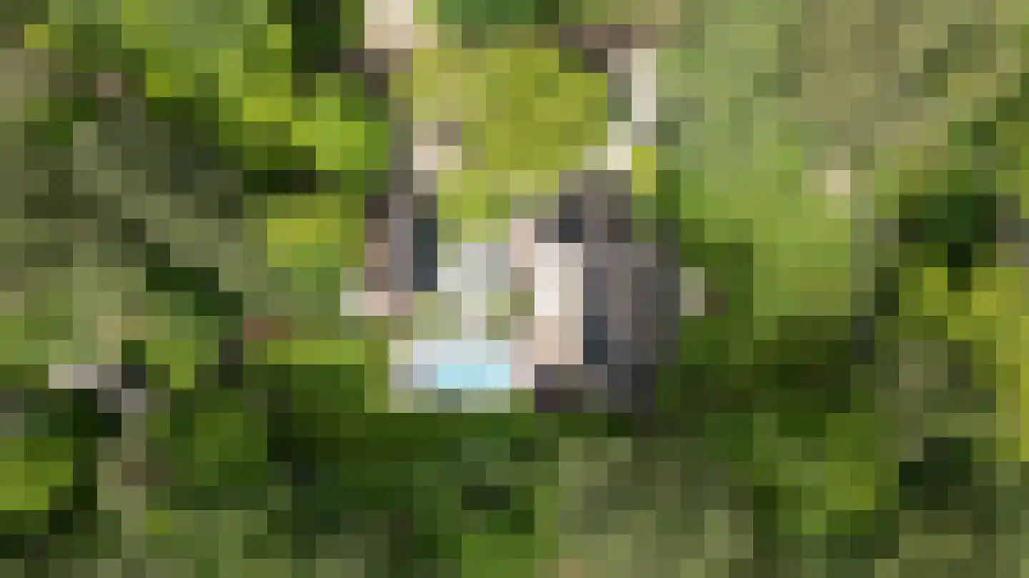 Dellenweg 99 Epe thumbnail 76