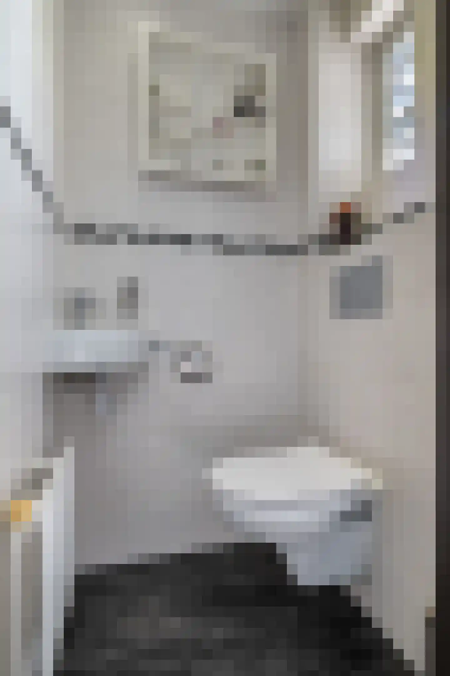 Dellevaetestraat 26 Stein thumbnail 10