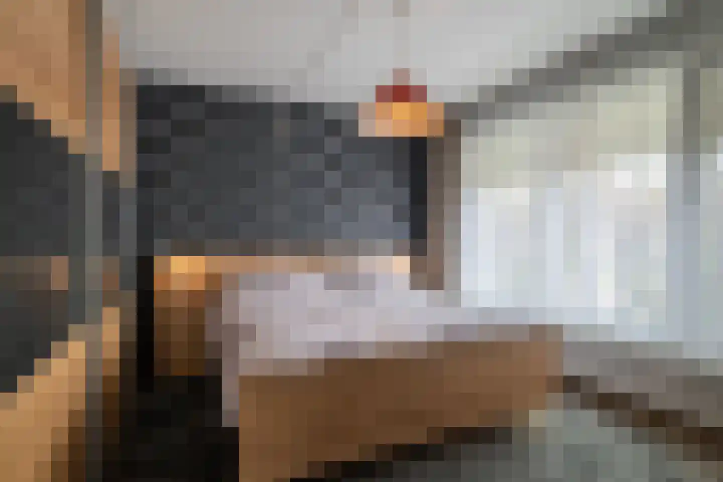 Dellevaetestraat 26 Stein thumbnail 11