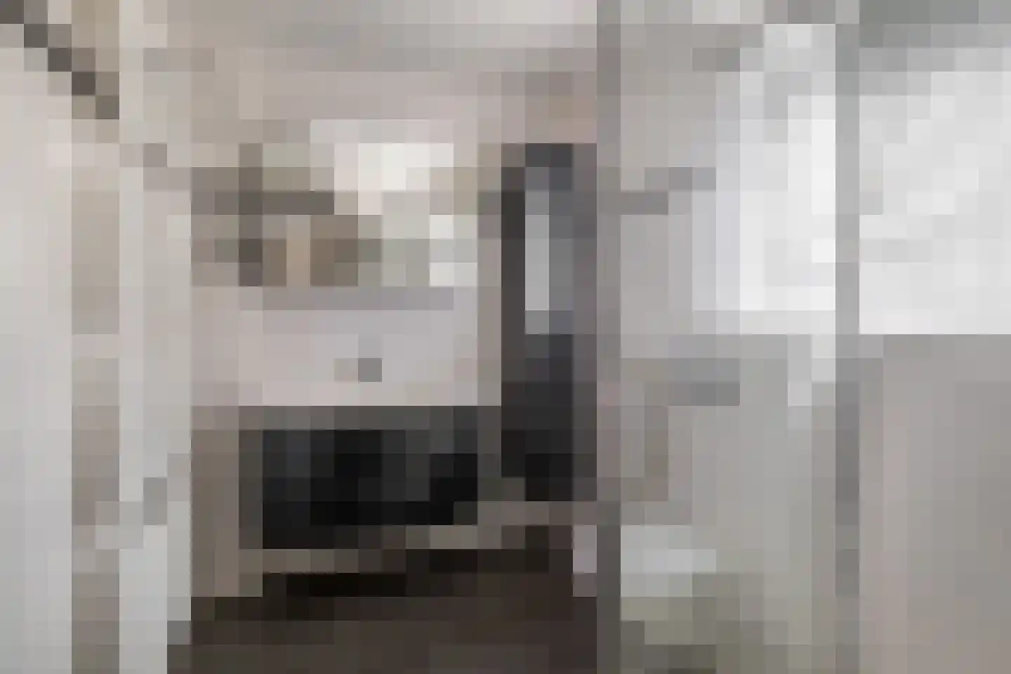 Dellevaetestraat 26 Stein thumbnail 14