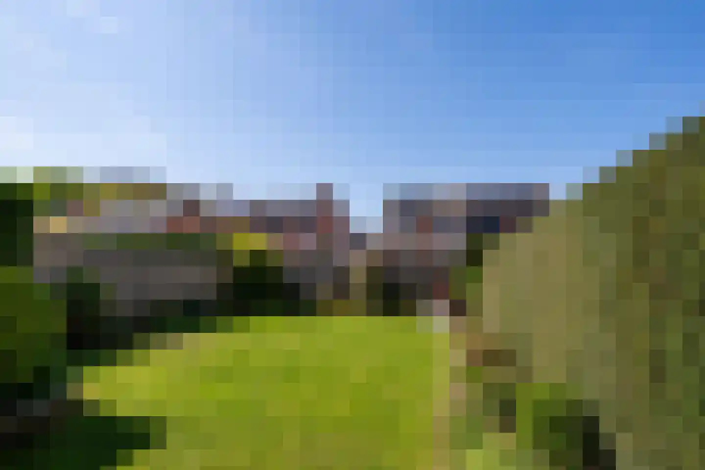 Dellevaetestraat 26 Stein thumbnail 17