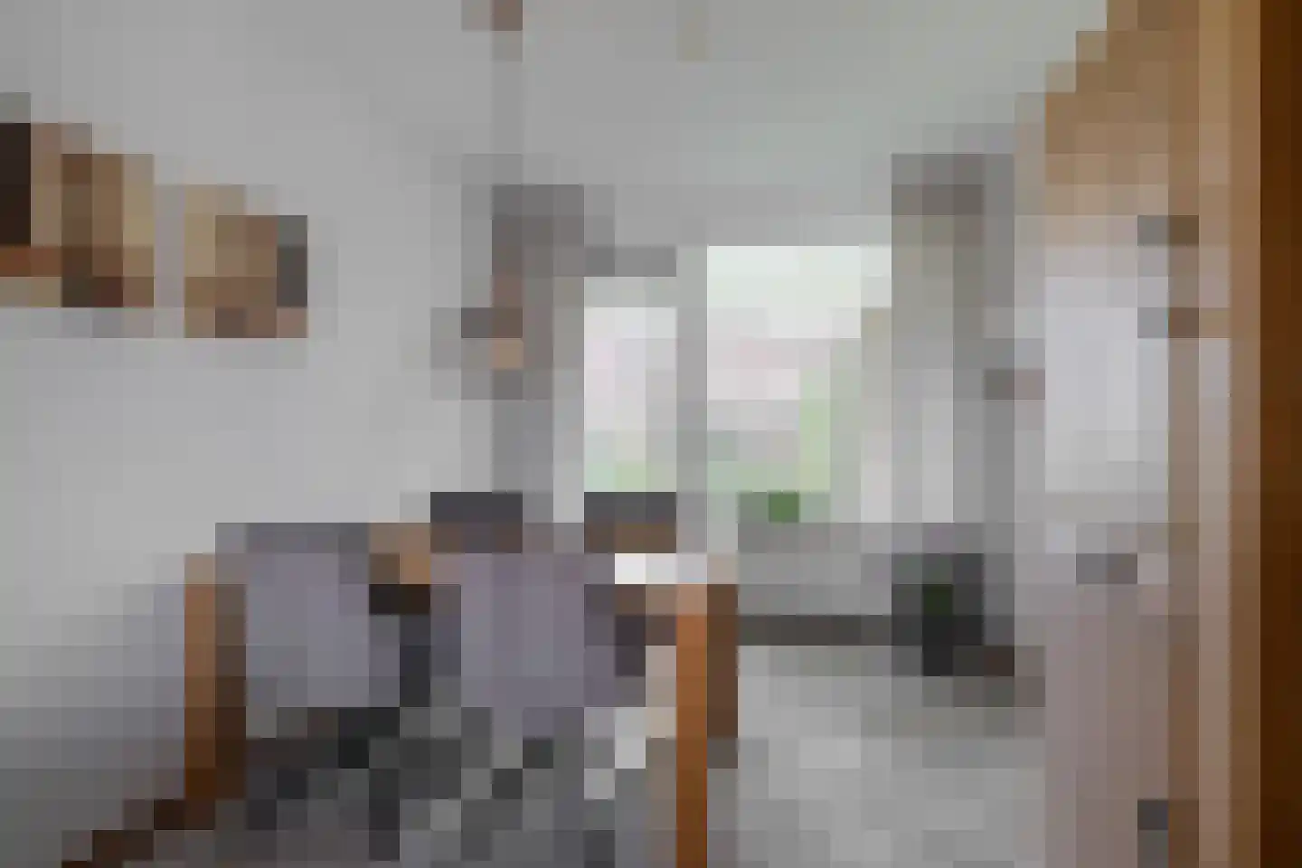 Dellevaetestraat 26 Stein thumbnail 7