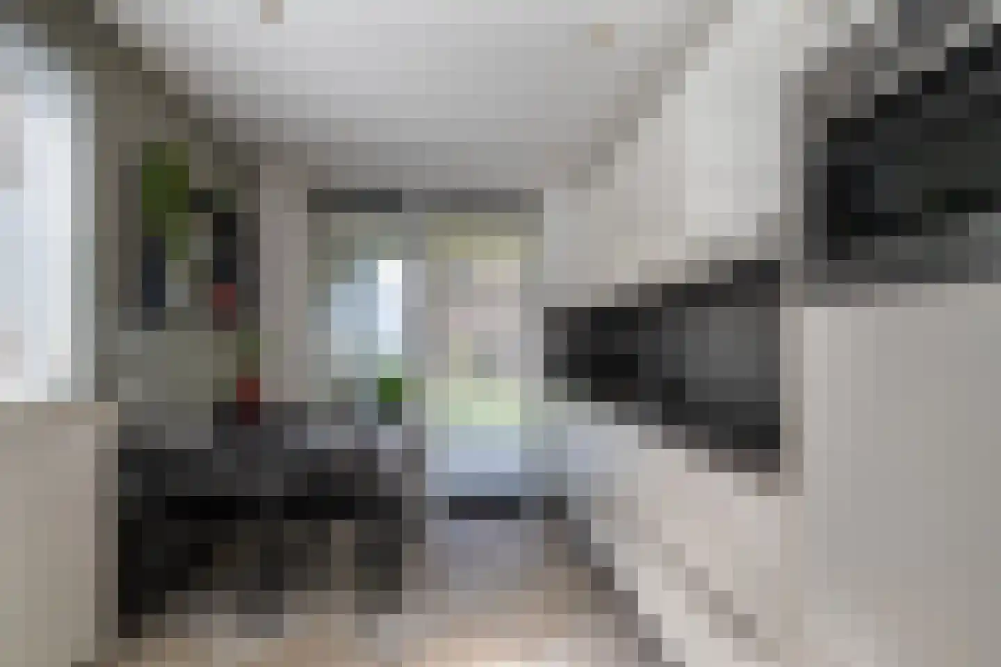 Dellevaetestraat 26 Stein thumbnail 8